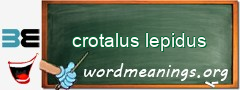 WordMeaning blackboard for crotalus lepidus